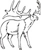 Vector clipart: irish-elk