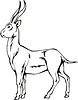 lechwe