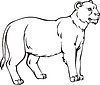 Vector clipart: lioness