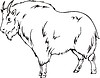 Vector clipart: mountain goat