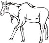 Vector clipart: nilgai