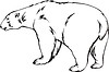 Vector clipart: polar bear