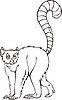 Vector clipart: ring tailed lemur