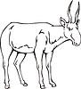 Vector clipart: saiga