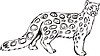Vector clipart: snow leopard
