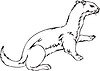 Vector clipart: stoat