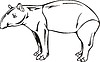 Vector clipart: tapir