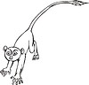 Vector clipart: tarsier