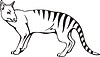 Vector clipart: thylacine