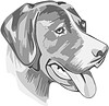 Vector clipart: rottweiler