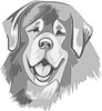 Vector clipart: dog