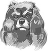 Vector clipart: dog