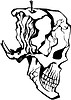 Vector clipart: skull tattoo