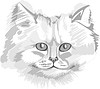 Vector clipart: cat