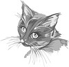 Vector clipart: cat