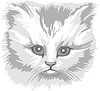 Vector clipart: cat