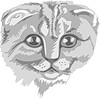 Vector clipart: cat