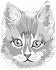 Vector clipart: cat