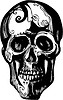 Vector clipart: skull