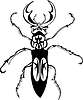 Vector clipart: beetle