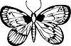 Vector clipart: butterfly