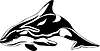 Vector clipart: killer whale