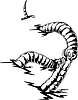 Vector clipart: worm monster