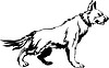 Vector clipart: dog