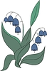 Vector clipart: campanula