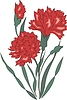 Vector clipart: carnation