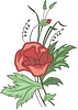 Vector clipart: poppy inflorescence and bud