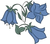 Vector clipart: blue bellflower
