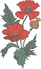 Vector clipart: poppy inflorescence and seeds