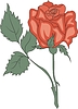 Vector clipart: red rose