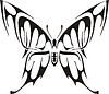 Vector clipart: symmetrical butterfly