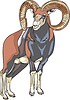 Vector clipart: argali