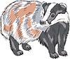 Vector clipart: raccoon dog