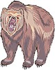 Vector clipart: brown bear