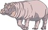 Vector clipart: hippo