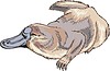 Vector clipart: platypus