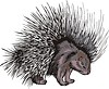 Vector clipart: porcupine