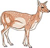 Vector clipart: fallow deer