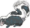 Vector clipart: skunk