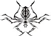 Vector clipart: symmetric spider tattoo