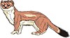 Vector clipart: stoat