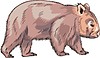 Vector clipart: wombat