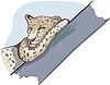 Vector clipart: cheetah