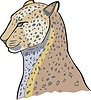 Vector clipart: cheetah