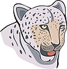 Vector clipart: cheetah