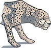 Vector clipart: cheetah